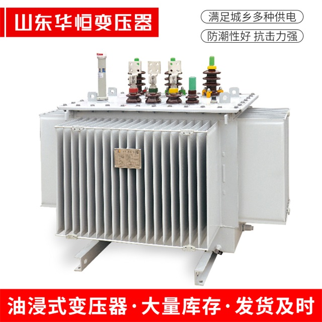 S13-10000/35德保德保德保电力变压器